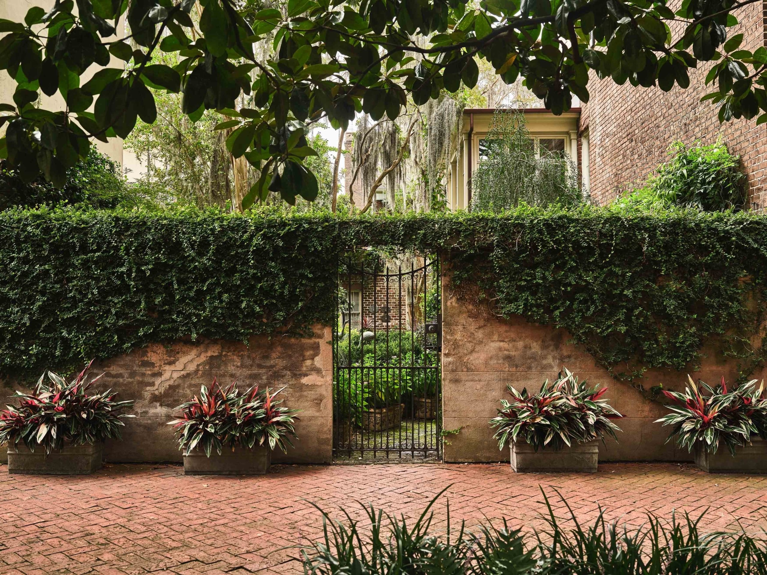 Ivy-covered brick wall with ornate iron gate entrance, flanked by potted plants on brick courtyard pavement